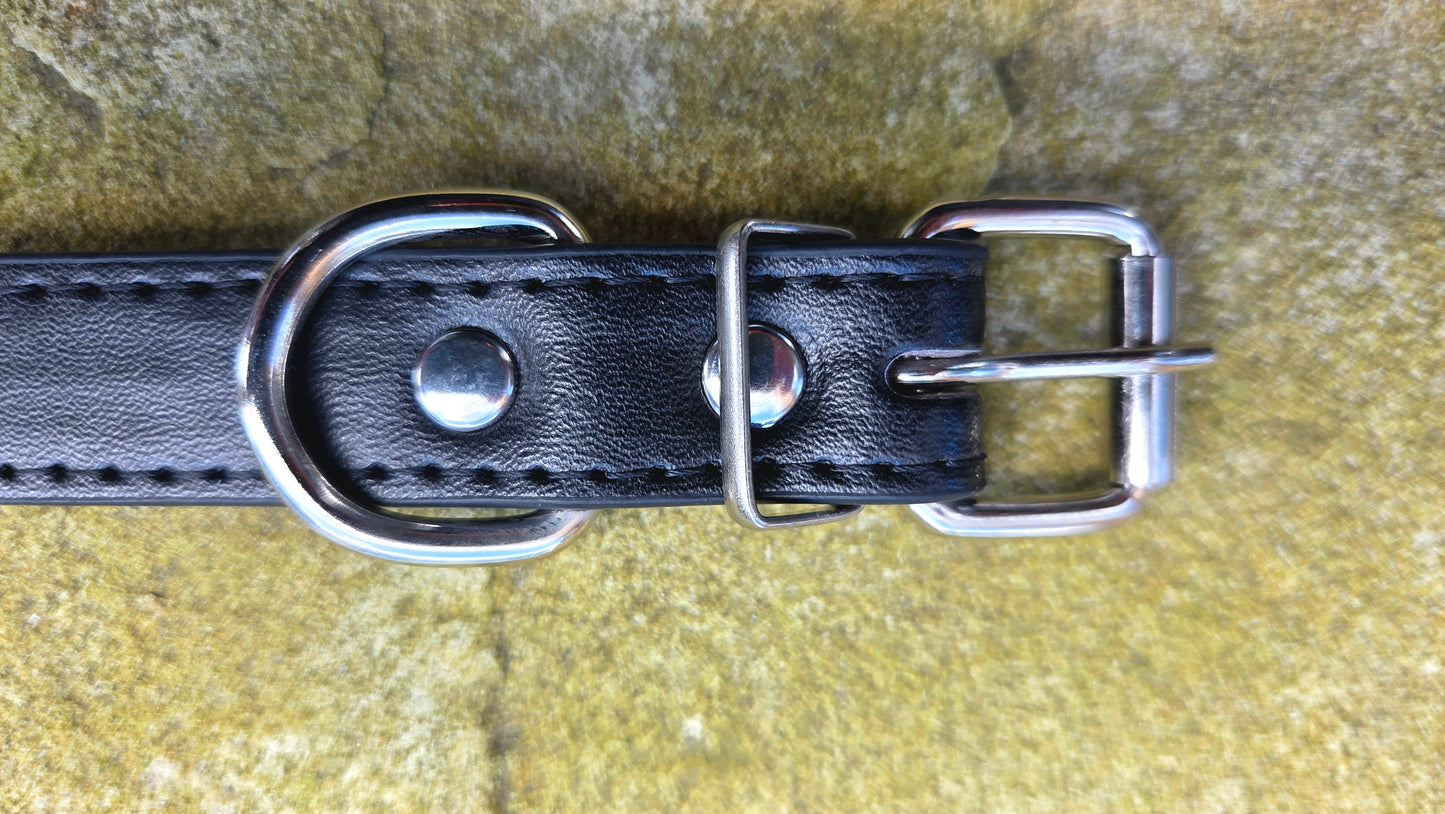 Personalised Dog Collar