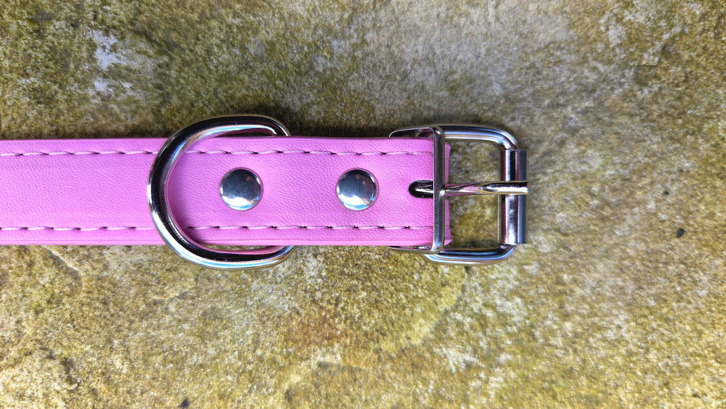 Personalised Dog Collar