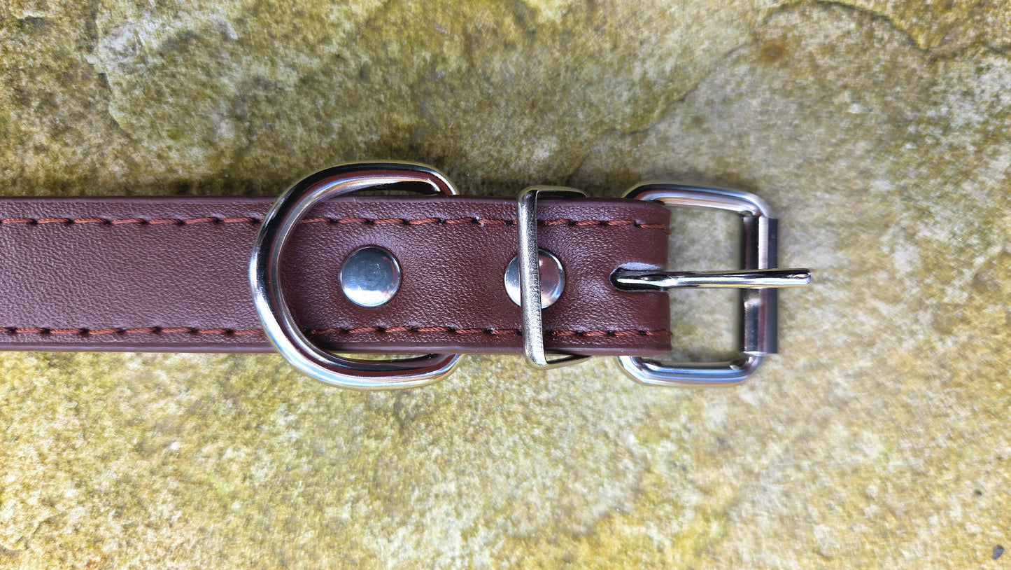 Personalised Dog Collar